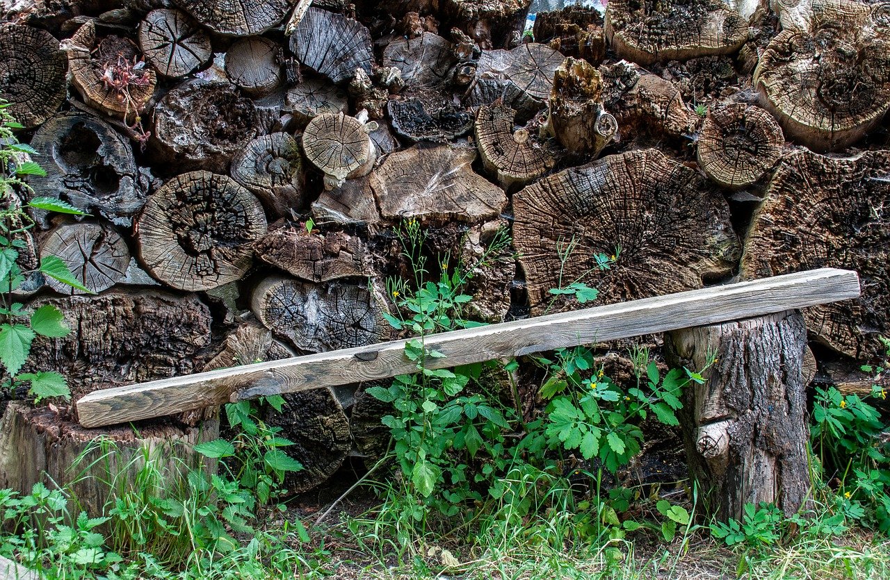 How to Build a DIY Firewood Shelter for Your Yard